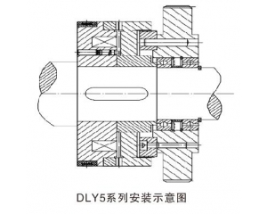 DLY5牙嵌式电磁离合器